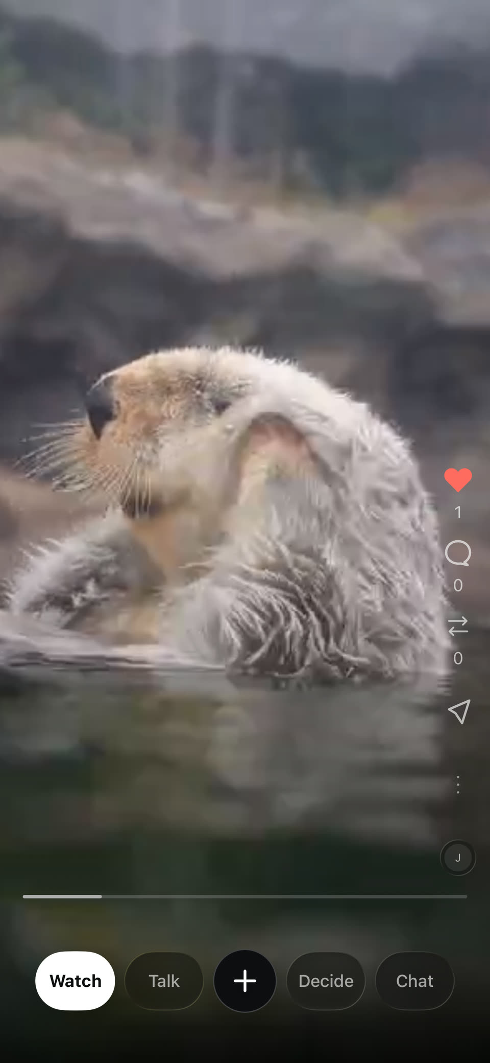 Kansensus Watch screen showing an otter video